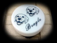 �����������������C���[�W